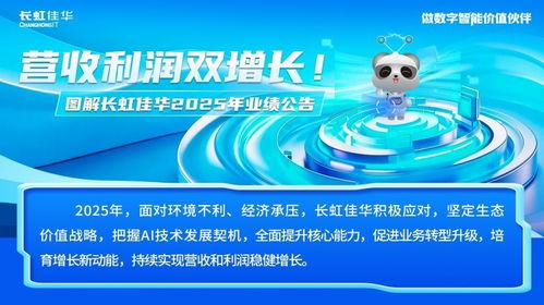 長虹佳華2025科技服務(wù)能力全面升級(jí)，AI產(chǎn)品與服務(wù)收入勁增47%